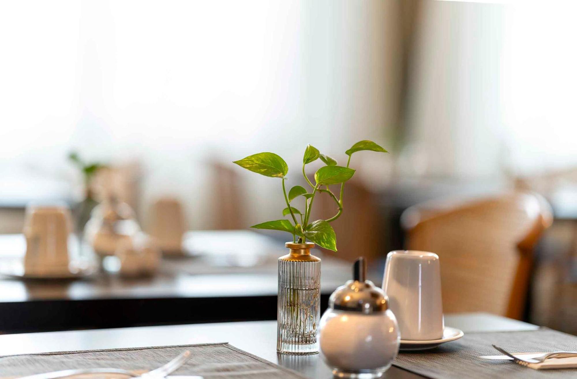 Plaza Inn Blankenburg Ditzingen, Sure Hotel Collection Экстерьер фото